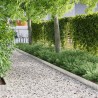 Bord de pelouse Argenté 1000 x 15 x 0.03 cm Acier Galvanisé 520718520718