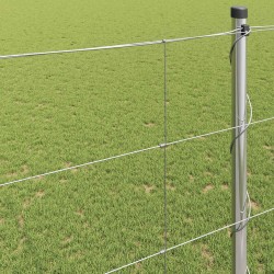 Clôture de prairie Argenté 50 x 1,4 m Acier galvanisé 520722520722