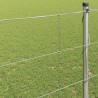 Clôture de prairie Argenté 50 x 1,4 m Acier galvanisé 520722520722