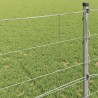 Clôture de prairie Argenté 100 x 0,8 m Acier galvanisé 520734520734