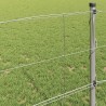 Clôture de prairie Argenté 100 x 0,8 m Acier galvanisé 520738520738