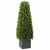 Tour en Herbe Eucalyptus Vert 27 x 27 x 90 cm Plastique 520749520749