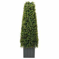 Tour en Herbe Eucalyptus Vert 27 x 27 x 90 cm Plastique 520749520749