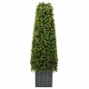 Tour en Herbe Eucalyptus Vert 27 x 27 x 90 cm Plastique 520749520749