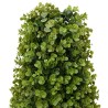 Tour en Herbe Eucalyptus Vert 27 x 27 x 90 cm Plastique 520749520749