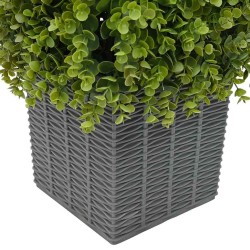 Tour en Herbe Eucalyptus Vert 27 x 27 x 90 cm Plastique 520749520749