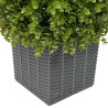 Tour en Herbe Eucalyptus Vert 27 x 27 x 90 cm Plastique 520749520749
