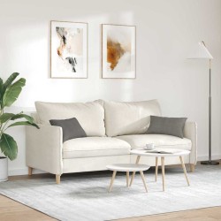 Coussins de canapé 2 pcs Gris clair 50 x 30 cm 521339521339