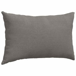 Coussins de canapé 2 pcs Gris clair 50 x 30 cm 521339521339