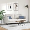 Coussins de canapé 2 pcs Bleu 50 x 30 cm 521341521341
