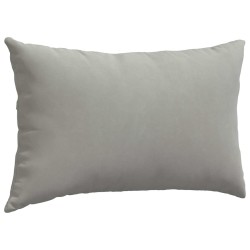 Coussins de canapé 2 pcs Gris clair 50 x 30 cm tissu 521344521344