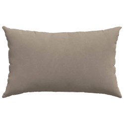 Coussins de canapé 2 pcs Taupe 50 x 30 cm tissu 521348521348