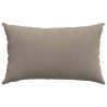 Coussins de canapé 2 pcs Taupe 50 x 30 cm tissu 521348521348