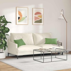 Coussins de canapé 2 pcs Vert clair 50 x 30 cm 521352521352