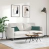 Coussins de canapé 2 pcs Vert foncé 50 x 30 cm 521353521353