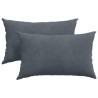 Coussins de canapé 2 pcs Gris foncé 50 x 30 cm 521354521354