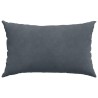 Coussins de canapé 2 pcs Gris foncé 50 x 30 cm 521354521354