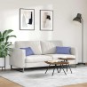 Coussins de canapé 2 pcs Bleu denim 50 x 30 cm tissu 521387521387