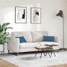 Coussins de canapé 2 pcs Bleu 50 x 30 cm 521388521388