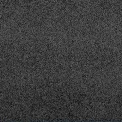 Tapis de porte Anthracite 60 x 40 x 1.2 cm Tissu en teddy 521395521395