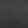 Tapis de porte Anthracite 60 x 40 x 1.2 cm Tissu en teddy 521395521395