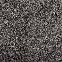 Tapis de porte Gris clair 60 x 40 x 1.2 cm Tissu en teddy 521398521398