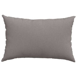 Coussins de canapé 2 pcs Taupe 60 x 40 cm tissu 521405521405