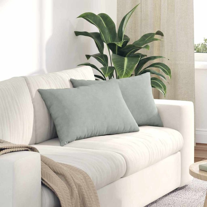 Coussins de canapé 2 pcs Gris clair 60 x 40 cm 521406521406