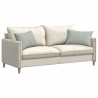 Coussins de canapé 2 pcs Gris clair 60 x 40 cm 521406521406