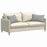 Coussins de canapé 2 pcs Gris nuage 60 x 40 cm tissu 521410521410
