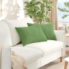 Coussins de canapé 2 pcs Vert clair 60 x 40 cm 521423521423