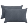 Coussins de canapé 2 pcs Gris foncé 60 x 40 cm 521426521426