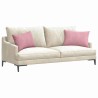 Coussins de canapé 2 pcs Rose 60 x 40 cm 521427521427