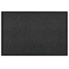Tapis de porte Anthracite 60 x 40 x 1.2 cm Tissu en teddy 521524521524