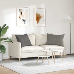 Coussins de canapé 2 pcs Gris clair 70 x 50 cm 521533521533