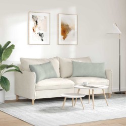 Coussins de canapé 2 pcs Gris clair 80 x 40 cm 521534521534