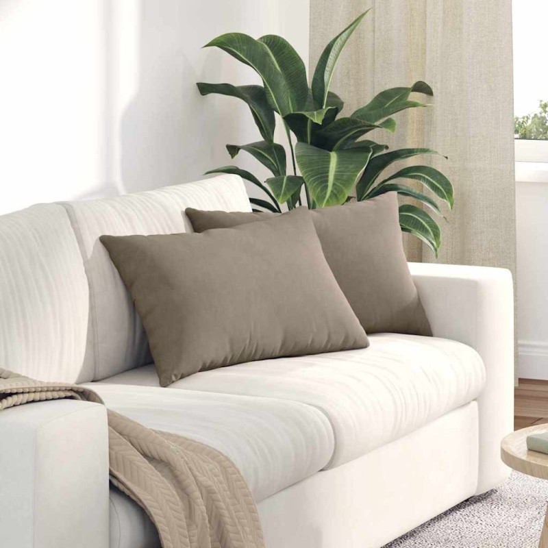 Coussins de canapé 2 pcs Taupe 60 x 40 cm tissu 521551521551