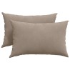 Coussins de canapé 2 pcs Taupe 60 x 40 cm tissu 521551521551