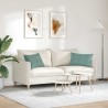 Coussins de canapé 2 pcs Vert Mer 60 x 40 cm 521554521554