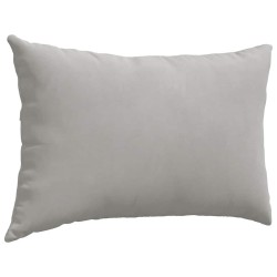 Coussins de canapé 2 pcs Gris clair 60 x 40 cm tissu 521556521556