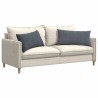 Coussins de canapé 2 pcs Gris foncé 80 x 40 cm 521562521562
