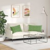 Coussins de canapé 2 pcs Vert clair 80 x 40 cm 521566521566