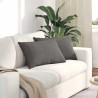 Coussins de canapé 2 pcs Gris clair 60 x 40 cm 521618521618