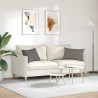 Coussins de canapé 2 pcs Gris clair 60 x 40 cm 521618521618