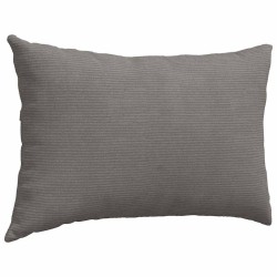 Coussins de canapé 2 pcs Gris clair 60 x 40 cm 521618521618