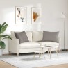 Coussins de canapé 2 pcs Taupe 70 x 50 cm tissu 521636521636