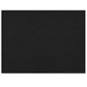 Tapis de porte Noir 60 x 40 x 1.2 cm Tissu en teddy 521645521645