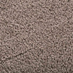 Tapis de porte Beige 60 x 40 x 1.2 cm Tissu en teddy 521647521647