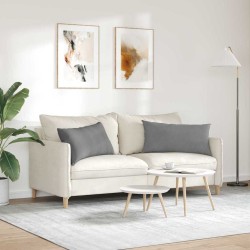 Coussins de canapé 2 pcs Gris foncé 80 x 40 cm tissu 521663521663