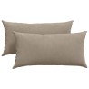 Coussins de canapé 2 pcs Taupe 80 x 40 cm tissu 521666521666